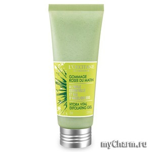 L'Occitane /    L'Occtitane Hydra Vital Exfoliating Gel