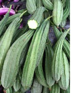 ��������� �������