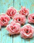 ����� �� ��� ������� ���������: ����� �� ����������?