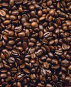 ������ ����� �������� �� ������������