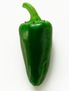 ����� ����� ������ ������