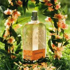 ���������� ������ �� L'Occitane