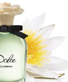 ���-8 ������ �������� �������� ��� ������ (2014)