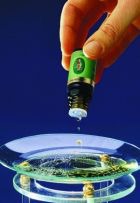 ������ ������������