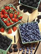 ������� ���������