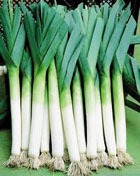 ��������� ���