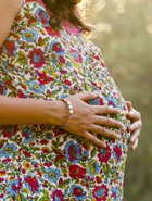 ������ �����, ����������� ����������� � ������ ���������� �������