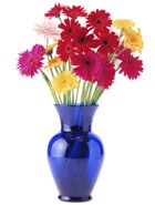 ����� � �����������