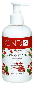 ������ ��� ��� � ���� Creative Scentsations �Winterberry�