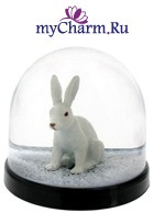 ��� ������� ��������� �� ���������� ���������