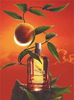 ���������� ����� �� L'Occitane
