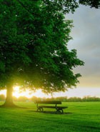 ����� � ������� �������� � ������� ����, ���������, ���������� � �������� ����