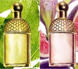 �������� �������: Aqua Allegoria, Guerlain