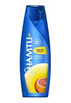 "������" ��������� Shamtu