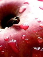 ��������� ���� � ������