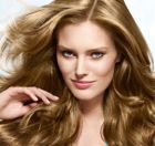 ���� ��� ���������� � ���������� �������� ��������� �� Schauma