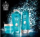 Gliss Kur Million Gloss: ������������� � ������������� �����