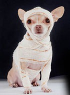 ������� ��� �������� ��� ������ ������: ����������, �� ������ ������!