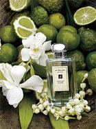 ������� � ����� Sweet Lime &amp; Cedar �� Jo Malone