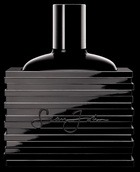 �������� �������: ����� Unforgivable, Sean Diddy Combs