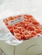 2 ���� ������� ���������� ���� MyJulia.ru