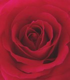 ����� ������ �� Sonoma Scent Studio