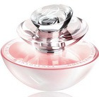 ������� Insolence