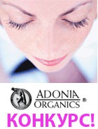 ��������� ����� �������� �� ������ ����� ���� ��������-������ ��������