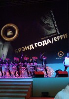 �������  �� ����� ������ ������ ����/EFFIE� �������� ������ VITEK ������!