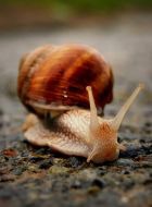 ������ ����� �������������� � ���������