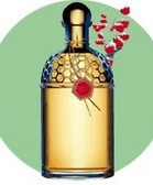 ���������� � ��������� Guerlain Aqua Allegorias