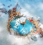 ���������� ����