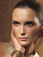 Safari Bronzing Collection �� ARTDECO ��� ������ ����-2010