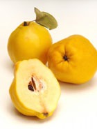 ���� - ������ ������� �����