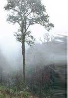 ������������? ������������ ������� � ��������� � ��������