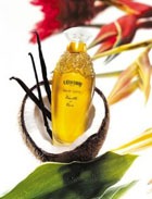 ����������� ������� 2010 ����. ����� 2