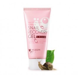 Mizon /    Snail Recovery Gel Cream