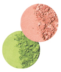 MIRRA / DECOR Тени-двойки Лесная нимфа