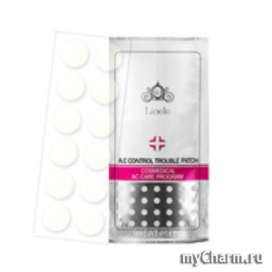 Lioele /    A.C Control Spot Patch Set