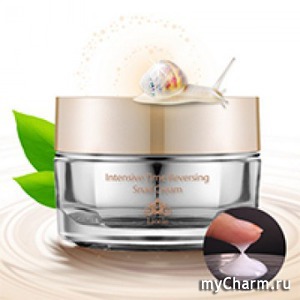 Lioele /    Intensive Time Reversing Snail Cream