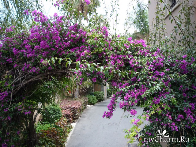 ������ ����� � ��������