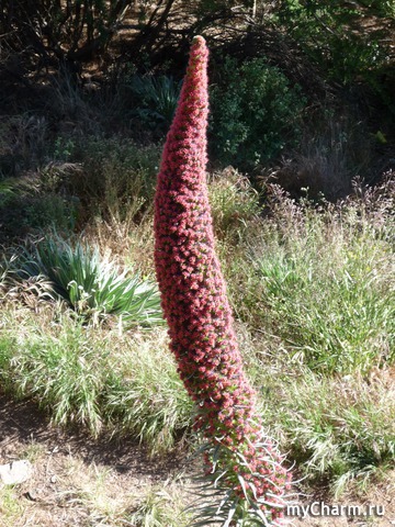 ������ ����� � ��������