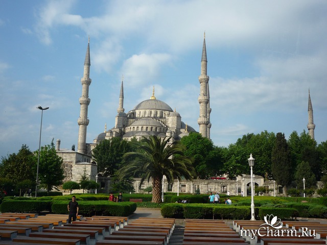 �������� �� ��������