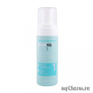 The Face Shop / Clean Face Blemish Zero Bubble Foam Cleanser Пенка для умывания воздушная