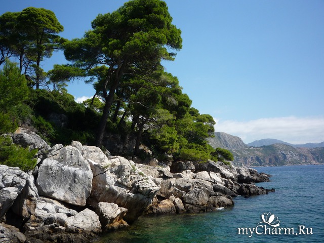 ������� ��������