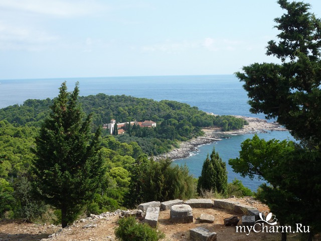 ������� ��������