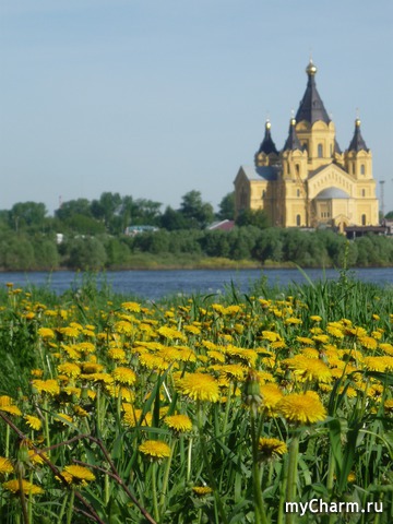 ������ ��������