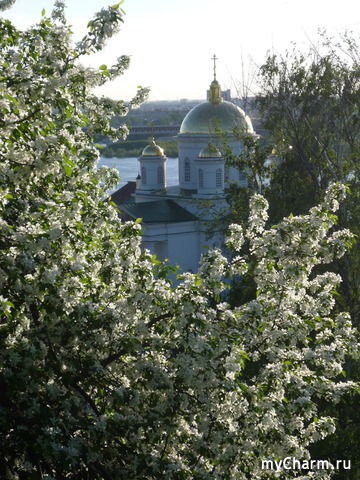 ������ ��������