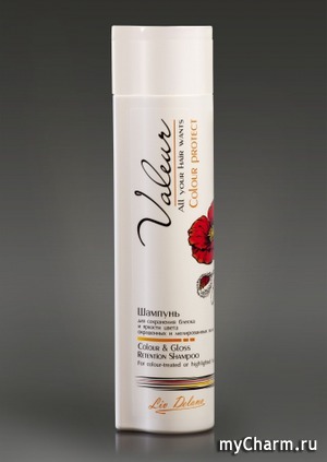 Liv Delano /  Valeur Color & Gloss Retention Shampoo