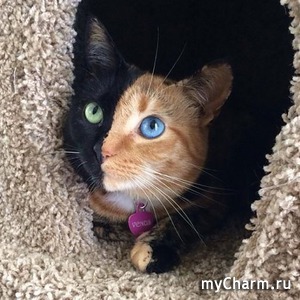 �� ���� �������� ������� ��������� ���� ���������� �����������?)))